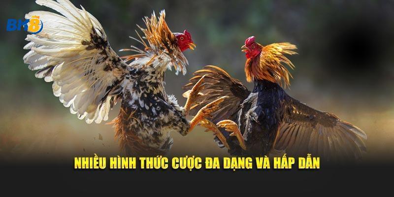 Đa dạng hình thức thi đấu khác nhau cho anh em tham gia